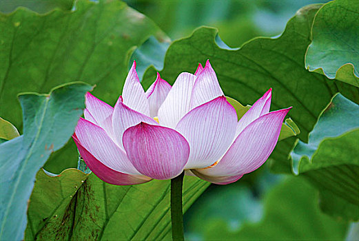 xổ số hôm nay ba đài